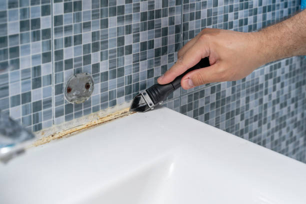 Best Home Mold Removal  in Shepherd, TX