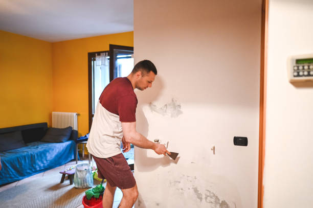 Best Same-Day Mold Removal  in Shepherd, TX